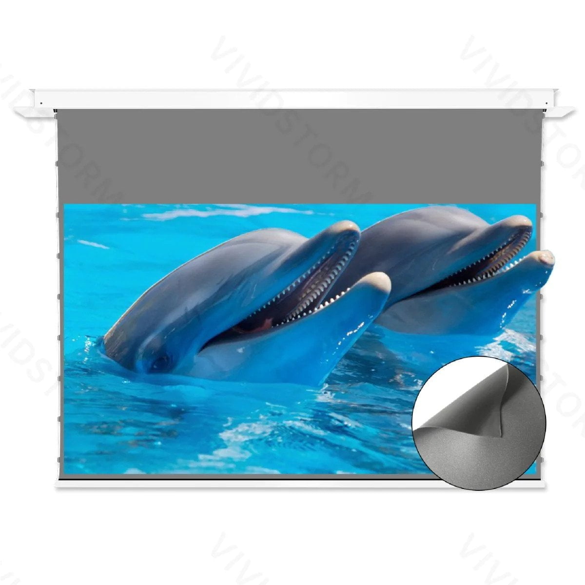 VIVIDSTORM Phantom Recessed InCeiling Motorised Tension Obsidian Long